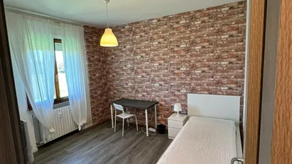 Room for rent in Padua, Veneto