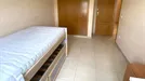 Room for rent, Castellón de la Plana/Castelló de la Plana, Comunidad Valenciana, Gran Vía Tárrega Monteblanco