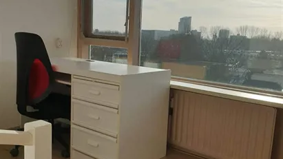 Room for rent in Rotterdam