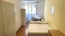Room for rent, Roma Municipio II – Parioli/Nomentano, Rome, Circonvallazione Nomentana