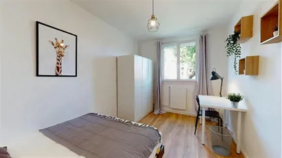 Room for rent in Lyon, Auvergne-Rhône-Alpes