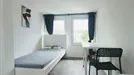 Room for rent, Dortmund, Nordrhein-Westfalen, Mozartstraße