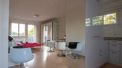 Apartment for rent in Dielsdorf, Zürich (Kantone)