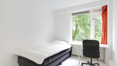 Room for rent in Rotterdam