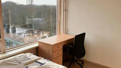 Room for rent in Rotterdam