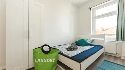 Room for rent in Berlin Treptow-Köpenick, Berlin