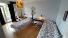 Room for rent, Reykjavík Miðborg, Reykjavík, Garðastræti