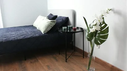 Room for rent in Budapest Erzsébetváros, Budapest