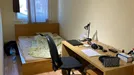 Room for rent, Budapest Erzsébetváros, Budapest, Erzsébet körút