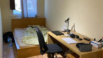 Room for rent in Budapest Erzsébetváros, Budapest