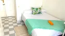 Room for rent, Almería, Andalucía, Paseo de Almería