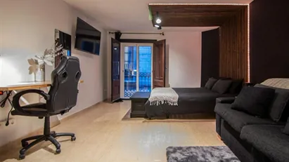 Apartment for rent in Barcelona Ciutat Vella, Barcelona