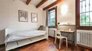 Room for rent, Padua, Veneto, Via delle Rose