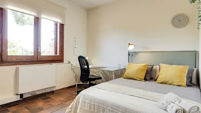 Room for rent in Cerdanyola del Vallès, Cataluña