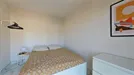 Room for rent, Nice, Provence-Alpes-Côte d'Azur, Rue Maurice Maccario