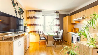 Apartment for rent in Perchtoldsdorf, Niederösterreich Apartment for rent in Perchtoldsdorf, Niederösterreich