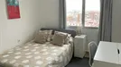 Room for rent, Málaga, Andalucía, Plaza de Miraflores