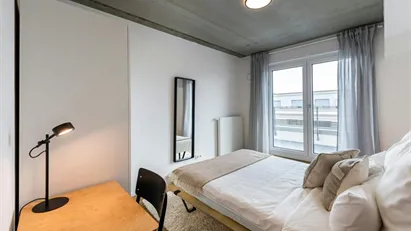 Room for rent in Frankfurt (region)