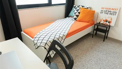 Room for rent in Cagliari, Sardegna Room for rent in Cagliari, Sardegna