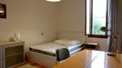 Room for rent, Padua, Veneto, Via Castelfidardo