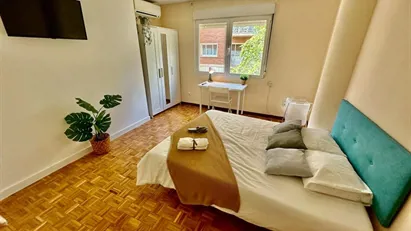 Room for rent in Zaragoza, Aragón