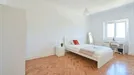 Room for rent, Lisbon (region), Rua Jorge Ferreira de Vasconcelos