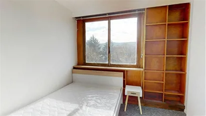 Room for rent in Saint-Étienne, Auvergne-Rhône-Alpes