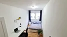 Room for rent, Vienna Josefstadt, Vienna, Bennogasse, Austria