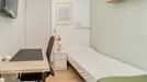 Room for rent, Valladolid, Castilla y León, Calle Santuario