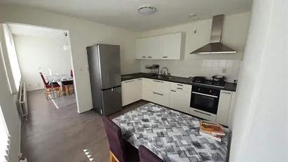 Apartment for rent in Rotterdam