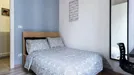 Room for rent, Bologna, Emilia-Romagna, Via del Borgo di San Pietro