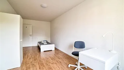 Room for rent in Dusseldorf, Nordrhein-Westfalen