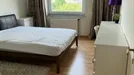 Room for rent, Brussels Sint-Lambrechts-Woluwe, Brussels, Avenue Paul Hymans