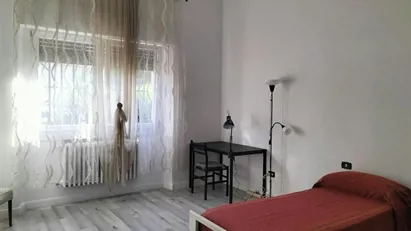 Room for rent in Florence, Toscana