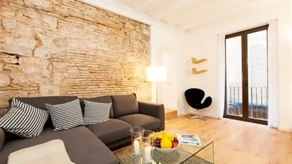 Apartment for rent in Barcelona Ciutat Vella, Barcelona