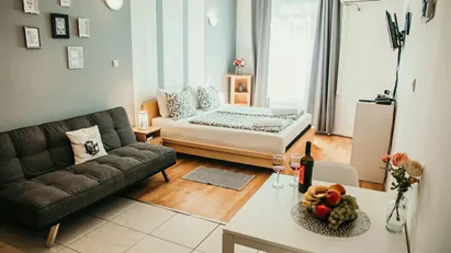 Apartment for rent in Budapest Erzsébetváros, Budapest