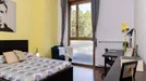 Room for rent, Bologna, Emilia-Romagna, Viale Giovanni Vicini