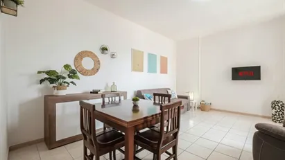 Apartment for rent in Quartu Sant'Elena, Sardegna Apartment for rent in Quartu Sant'Elena, Sardegna