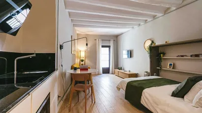 Apartment for rent in Barcelona Ciutat Vella, Barcelona