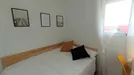 Room for rent, Granada, Andalucía, Pasaje de Teba