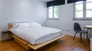 Room for rent, Munich, Schmied-Kochel-Straße