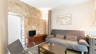 Apartment for rent in Barcelona Ciutat Vella, Barcelona