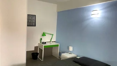 Room for rent in Roma Municipio VI – Roma Delle Torri, Rome