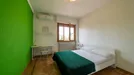 Room for rent, Florence, Toscana, Piazza Augusto Conti