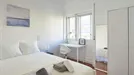 Room for rent, Lisbon (region), Avenida Miguel Bombarda