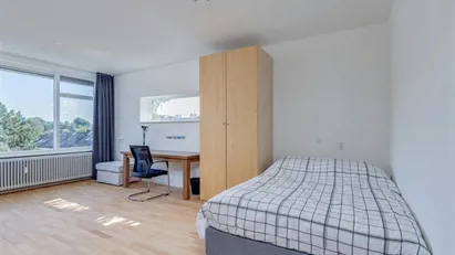 Room for rent in Rotterdam