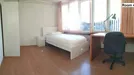 Room for rent, Rotterdam, Paardebloem