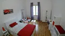 Room for rent, Florence, Toscana, Via Montebello