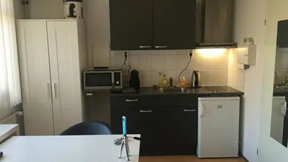 Apartment for rent in Delft, South Holland