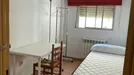 Room for rent, Burjassot, Comunidad Valenciana, Avenida María Ros